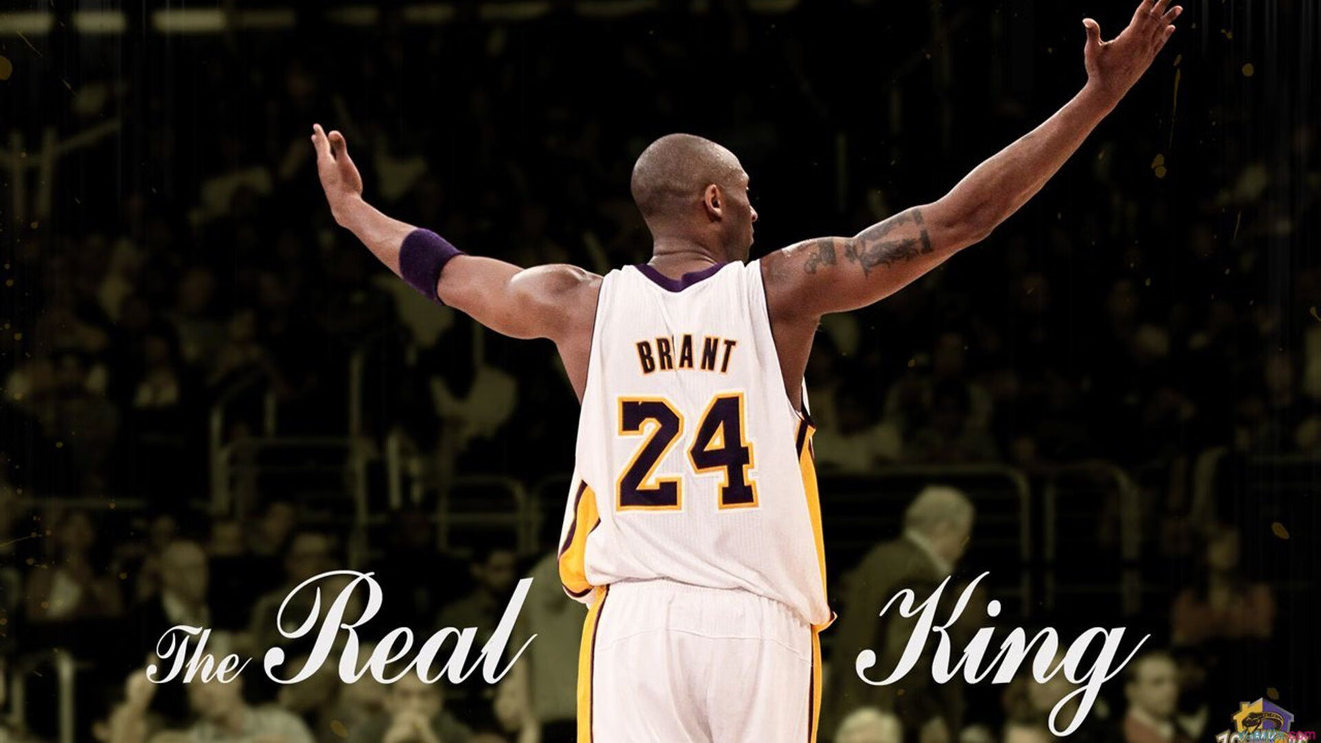 开云体育-世界排名争夺战之夜，詹姆斯稳定输出不掉线